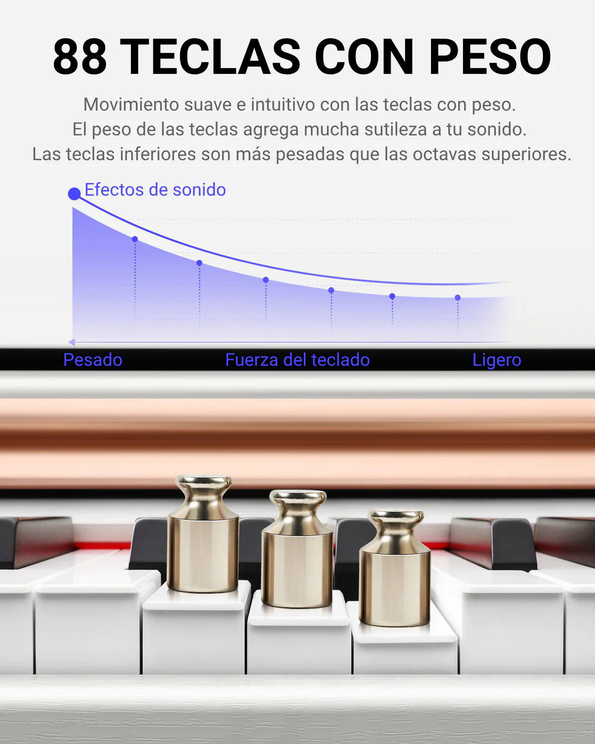 Miniatura 21