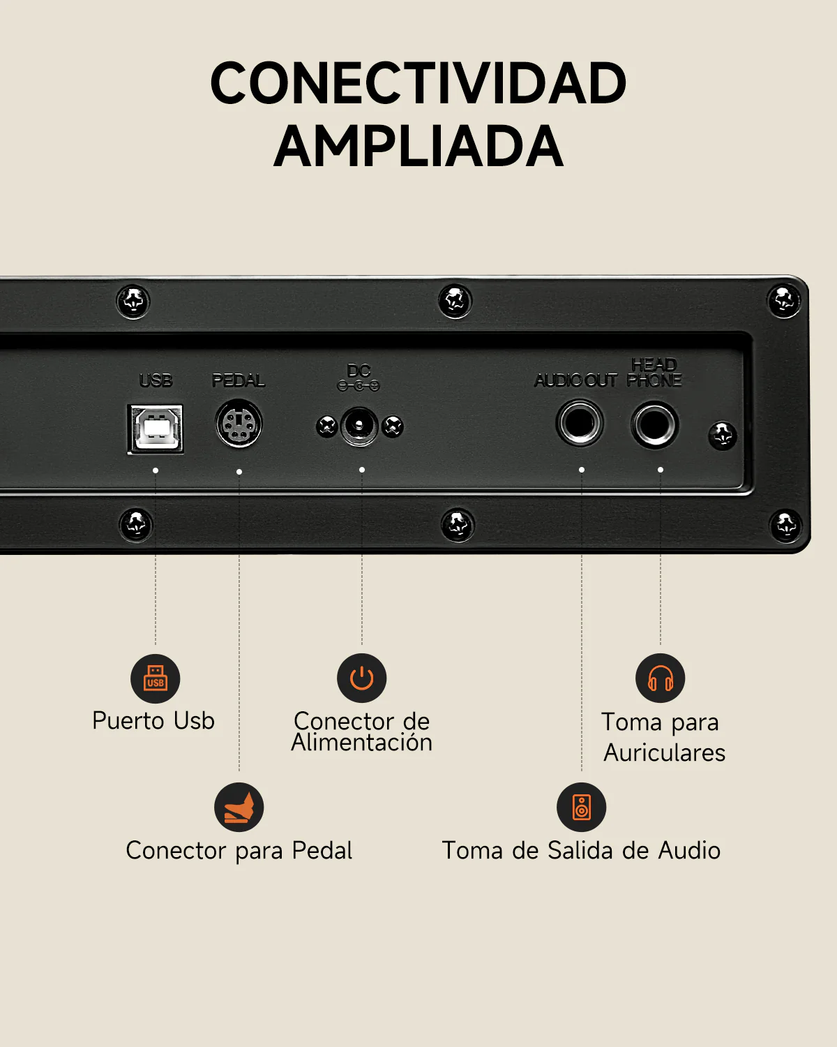 Miniatura 12