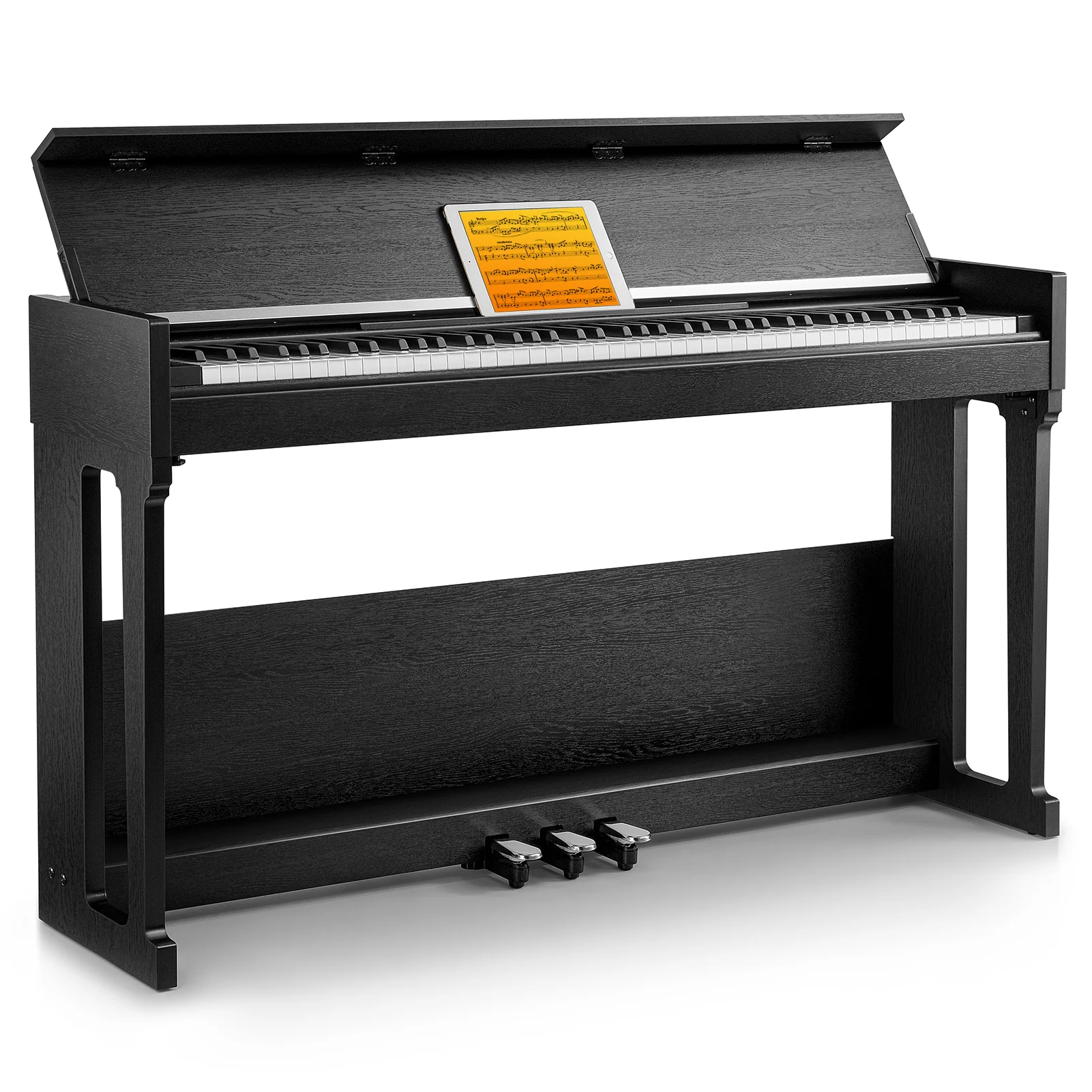 Miniatura 1
