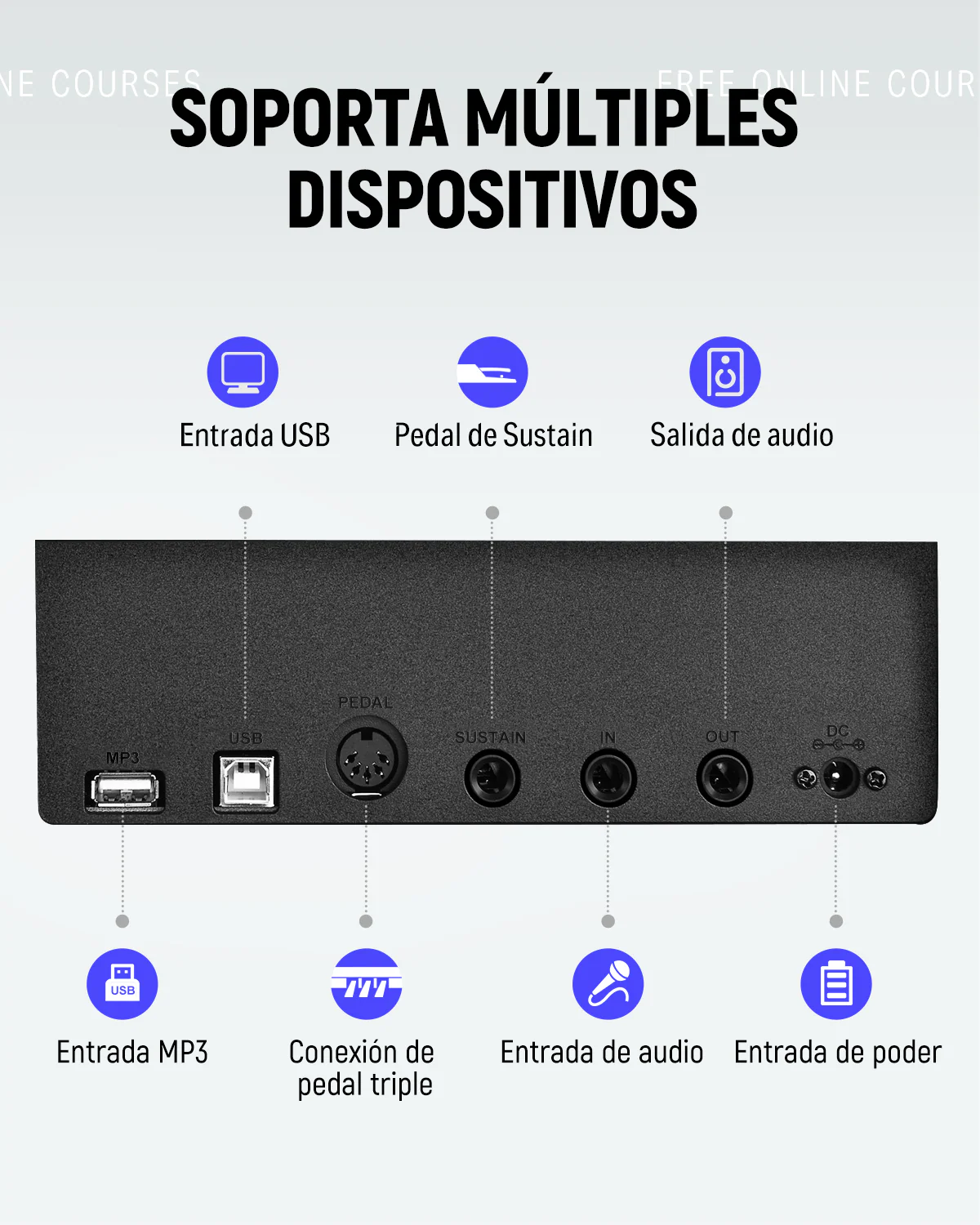 Miniatura 15