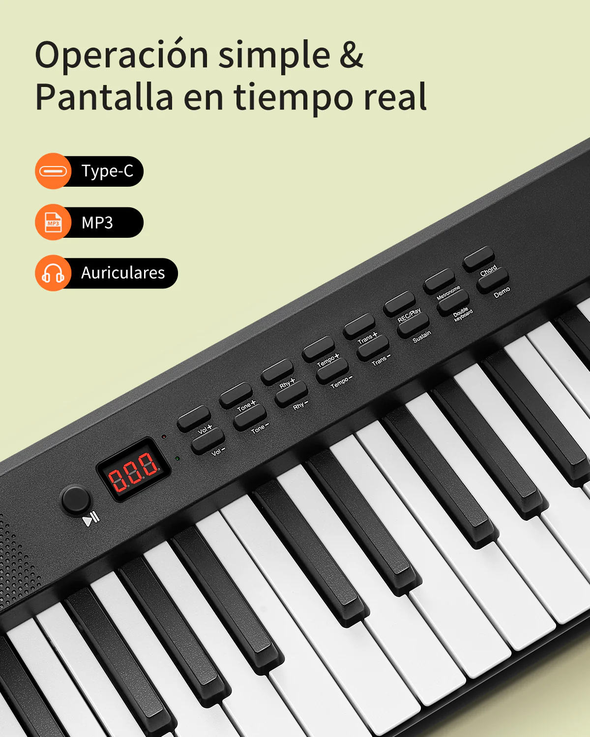 Miniatura 13