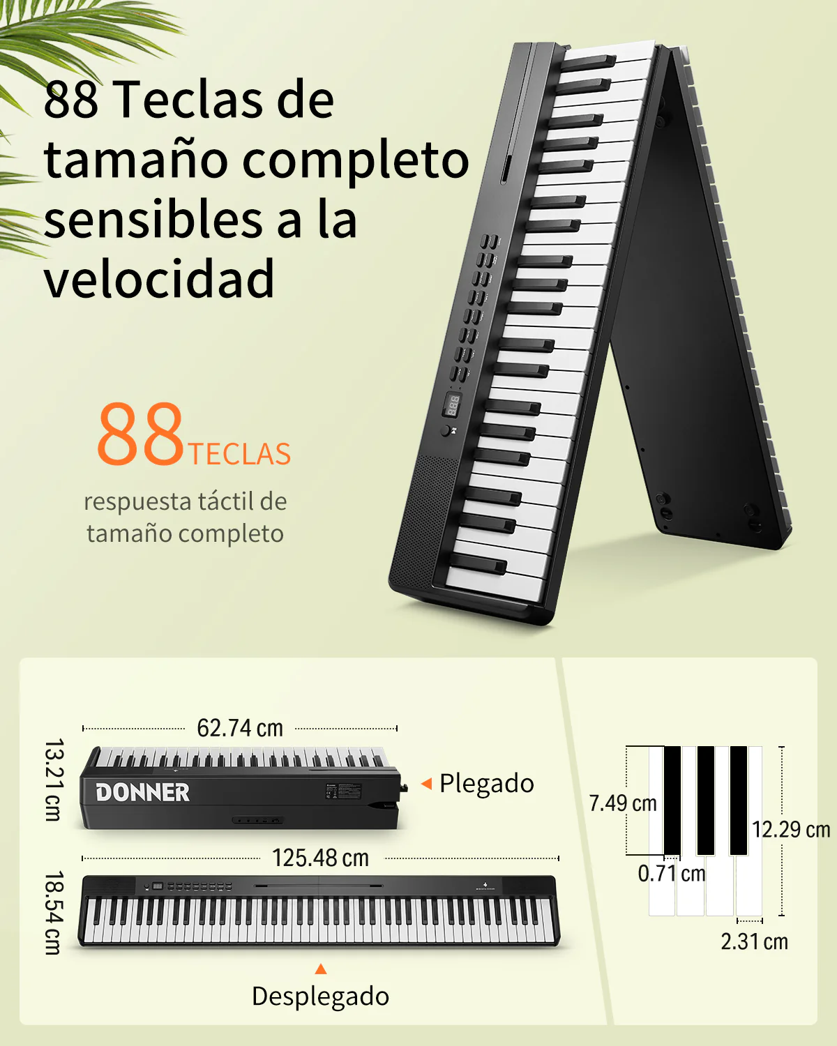 Miniatura 16