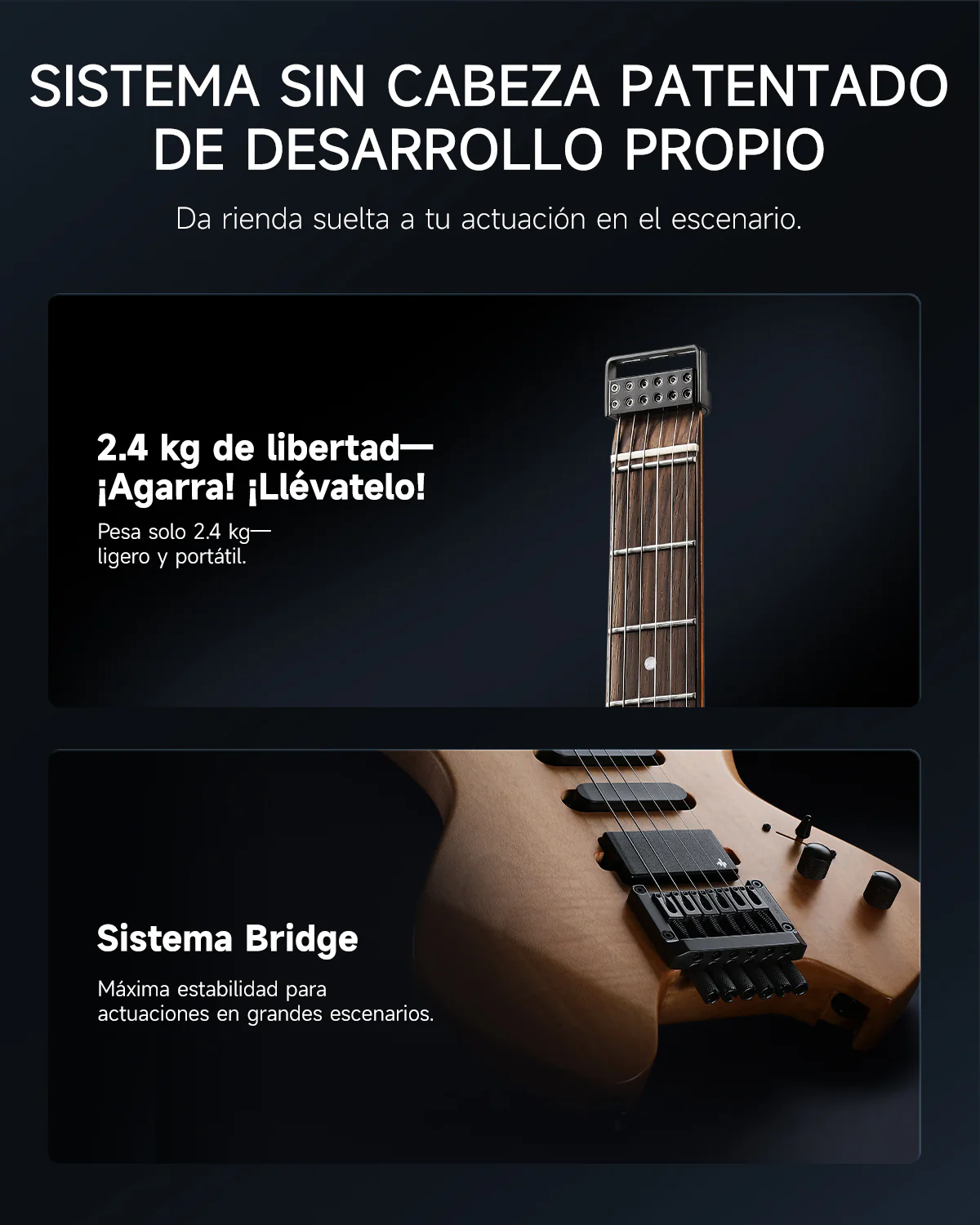 Miniatura 14