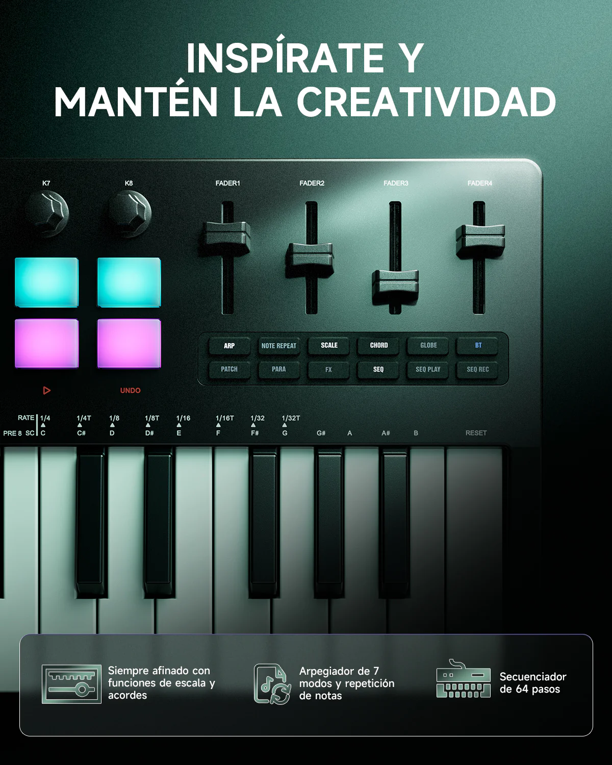 Miniatura 9